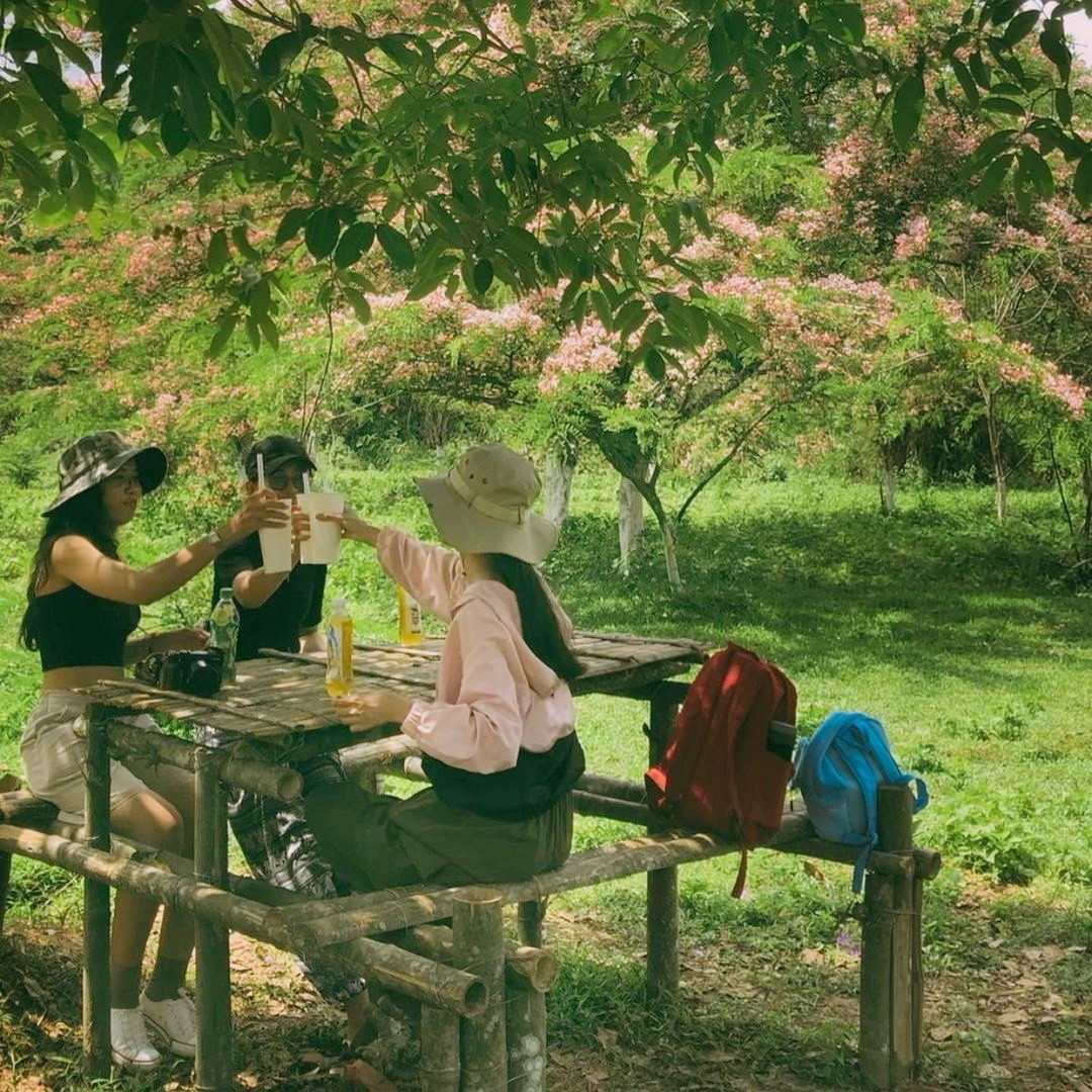 Tron khoi bui tai Vuon quoc gia Cat Tien-Hinh-6