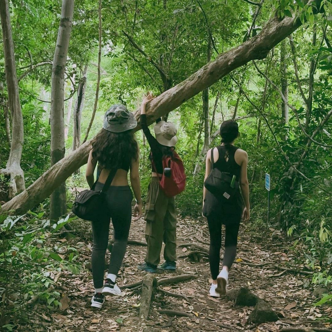 Tron khoi bui tai Vuon quoc gia Cat Tien-Hinh-8