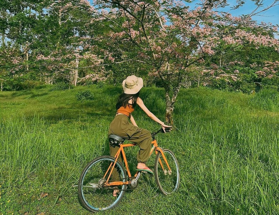 Tron khoi bui tai Vuon quoc gia Cat Tien