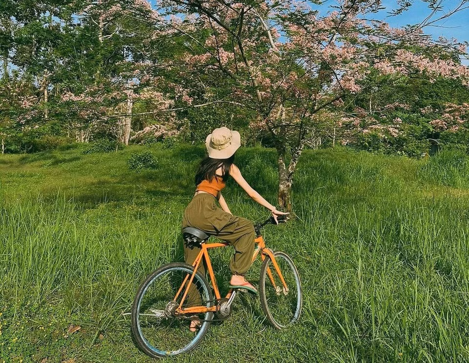 Tron khoi bui tai Vuon quoc gia Cat Tien