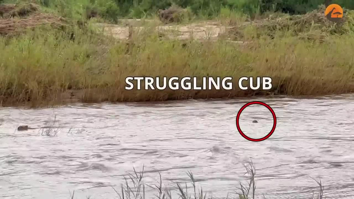 Video: Con bi nuoc cuon troi, su tu me lieu mang boi ra giai cuu