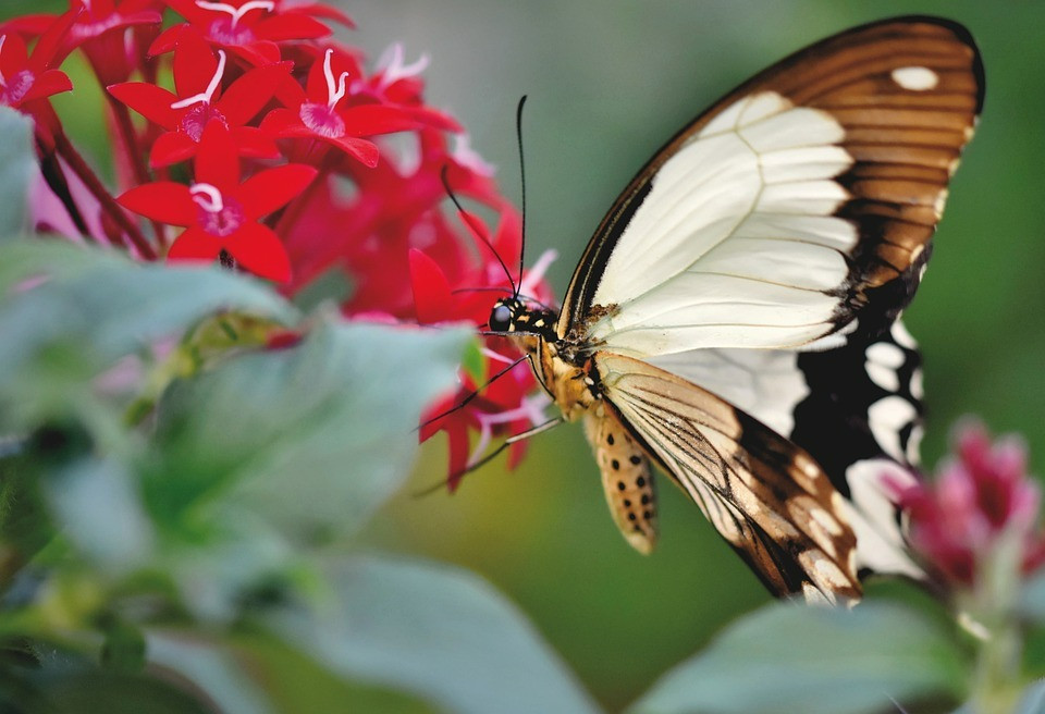 Nguoi sinh vao 4 ngay Am lich nay duoc quy nhan bao boc-Hinh-3