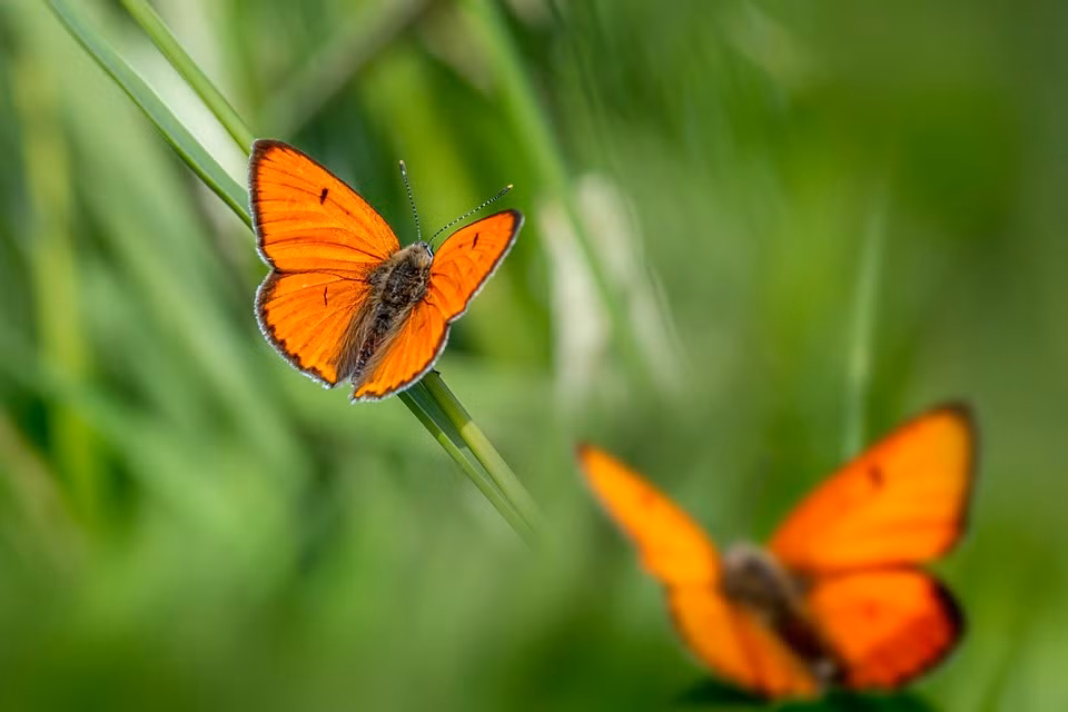 Nguoi sinh vao 4 ngay Am lich nay duoc quy nhan bao boc-Hinh-2