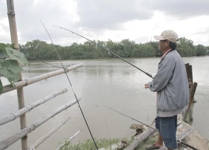 Xem bat chuot dong, cau ca, ngam kho do co o Long An-Hinh-2
