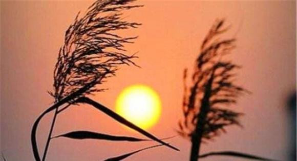 Loi khuyen cua to tien: Tren 40 tuoi, dung quan tam den hai viec