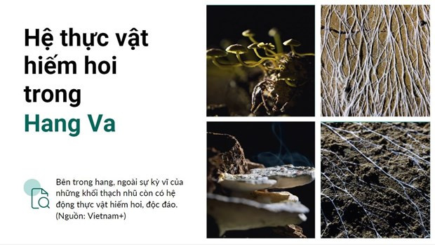 Những viên ngọc ẩn giấu của Việt Nam: 10 địa điểm chờ khám phá - Hình 3 Nhung vien ngoc an giau cua Viet Nam: 10 dia diem cho kham pha-Hinh-3