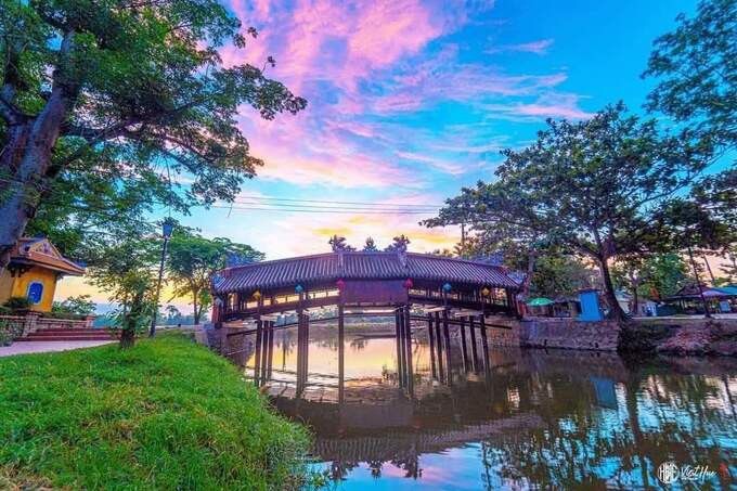 Doc dao cay cau “tren la nha duoi la cau” o Thua Thien Hue-Hinh-4