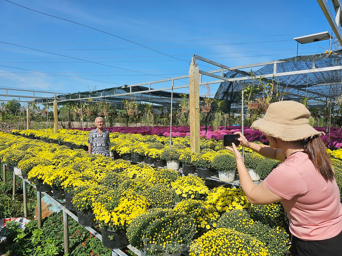 Khách từ nhiều nơi đến tham quan, chụp ảnh tại làng hoa Sa Đéc. Ảnh: Hòa Hội.