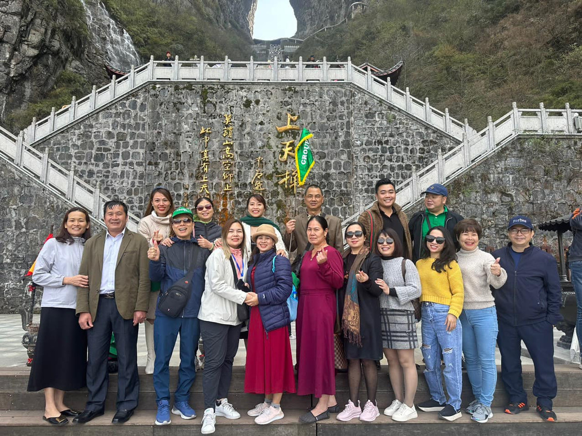 Gia ve may bay dat do, diem tru cua du lich noi dia