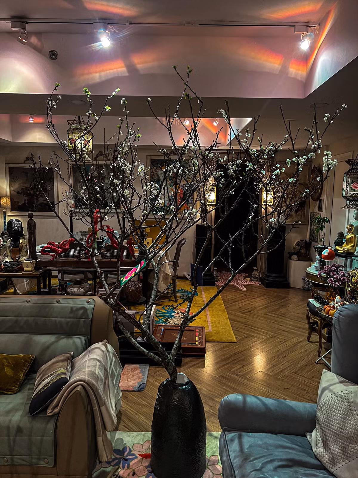 Đào rừng khoe khắc tại căn hộ cao cấp của nhà thiết kế Lý Quí Khánh.