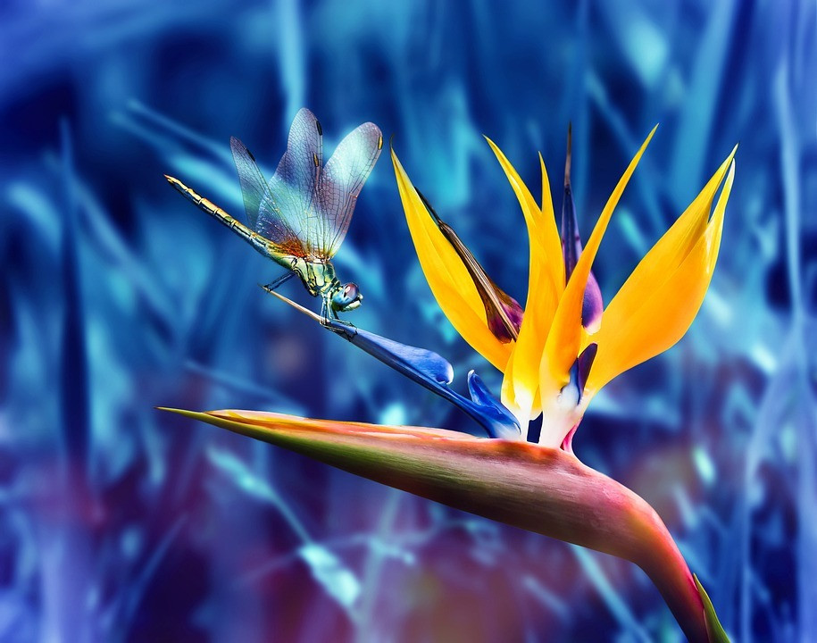 Nguoi co gio sinh nay luon may man, lam gi cung ra tien-Hinh-4