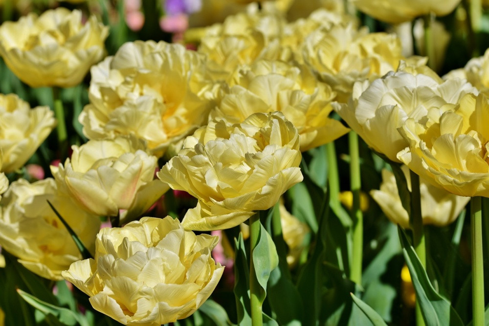 Đến khoảng thời gian này, họ thể nâng cao năng lực bằng cách học thêm các kỹ năng, kiến thức mới. Những cơ hội này sẽ tự đến với bạn thông qua bạn bè, đồng nghiệp và giúp bạn thể hiện tốt hơn với cấp trên.