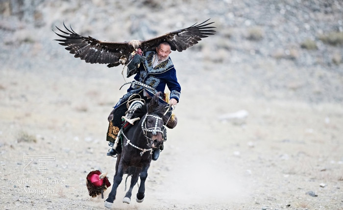 Tại sao coi đại bàng vàng là vua của các loài chim ăn thịt? - Hình 3 Tai sao coi dai bang vang la vua cua cac loai chim an thit?-Hinh-3