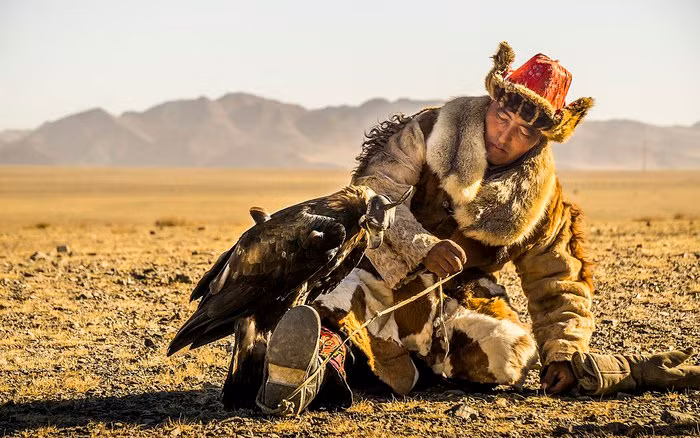 Tai sao coi dai bang vang la vua cua cac loai chim an thit?