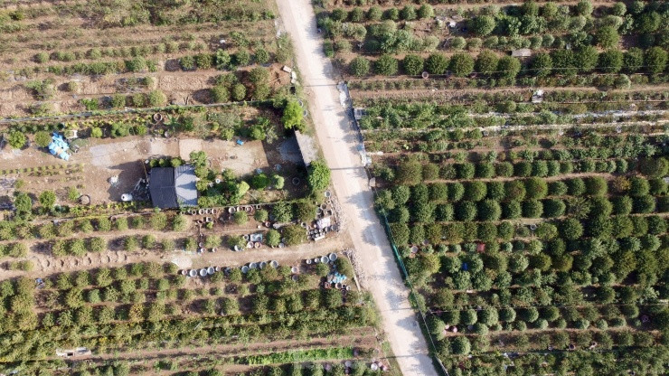 Nếu chăm chỉ, những lao động tại đây có thể kiếm được tiền triệu mỗi ngày.