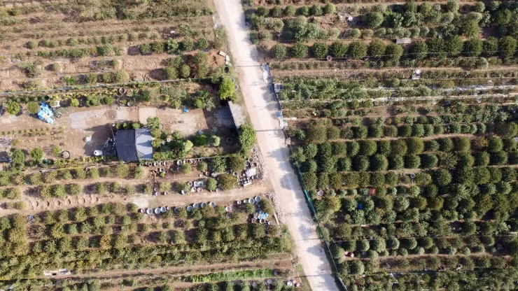 Nếu chăm chỉ, những lao động tại đây có thể kiếm được tiền triệu mỗi ngày.