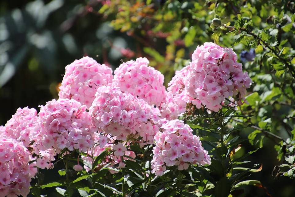 Nguoi sinh thang Am lich nay dau oc linh hoat, thanh cong la tat yeu-Hinh-2