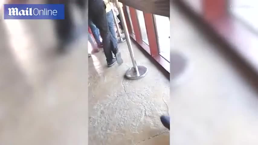 Video: Sư tử điên cuồng vồ bé trai sau tấm kính và cái kết Video: Su tu dien cuong vo be trai sau tam kinh va cai ket