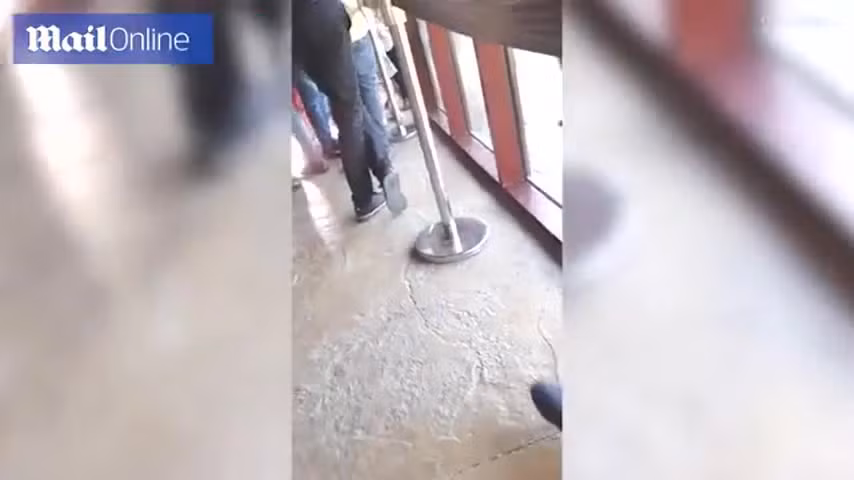 Video: Sư tử điên cuồng vồ bé trai sau tấm kính và cái kết Video: Su tu dien cuong vo be trai sau tam kinh va cai ket