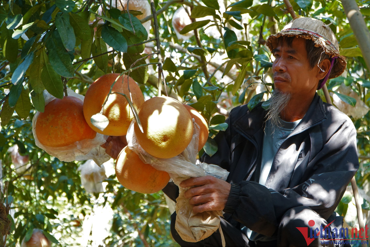 Buoi do nua trieu mot cap, thuong lai tranh nhau dat hang ban Tet