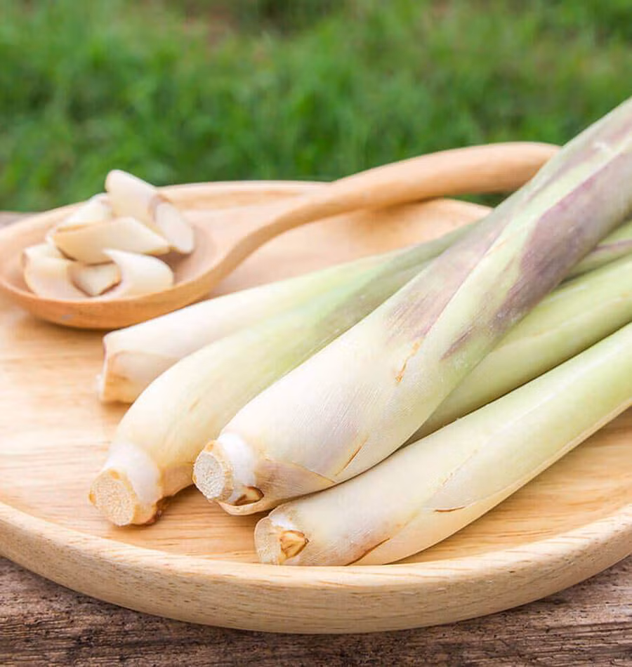 Loai cay gia vi nhan mat voi nha nong, co 8 loi ich khong ngo-Hinh-2