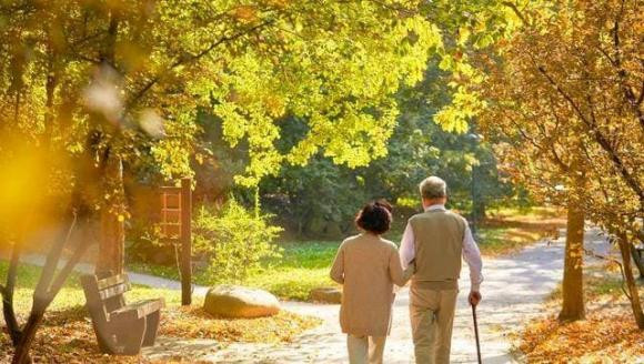 Sau 70 tuoi van lam duoc 8 dieu, chac chan song den 80-90 tuoi-Hinh-4