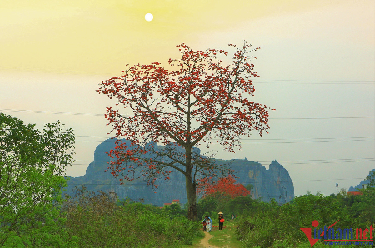 Giữa lòng thành phố nhưng khi mặt trời xuống, nơi đây lại như một vùng quê yên bình.