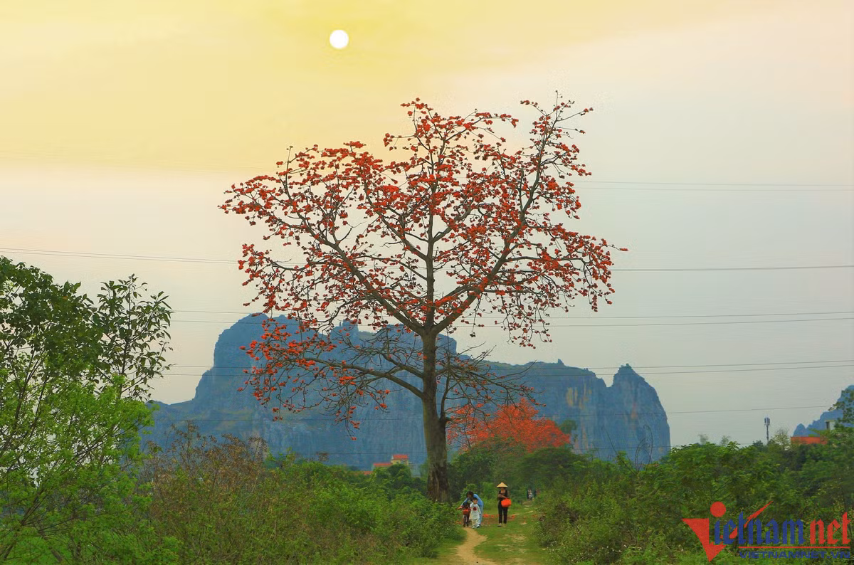 Giữa lòng thành phố nhưng khi mặt trời xuống, nơi đây lại như một vùng quê yên bình.