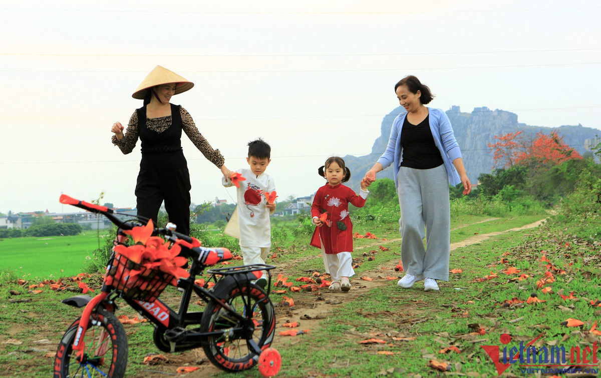 Nhiều người thích sắc hoa đỏ rực nên đến chụp ảnh làm kỷ niệm.