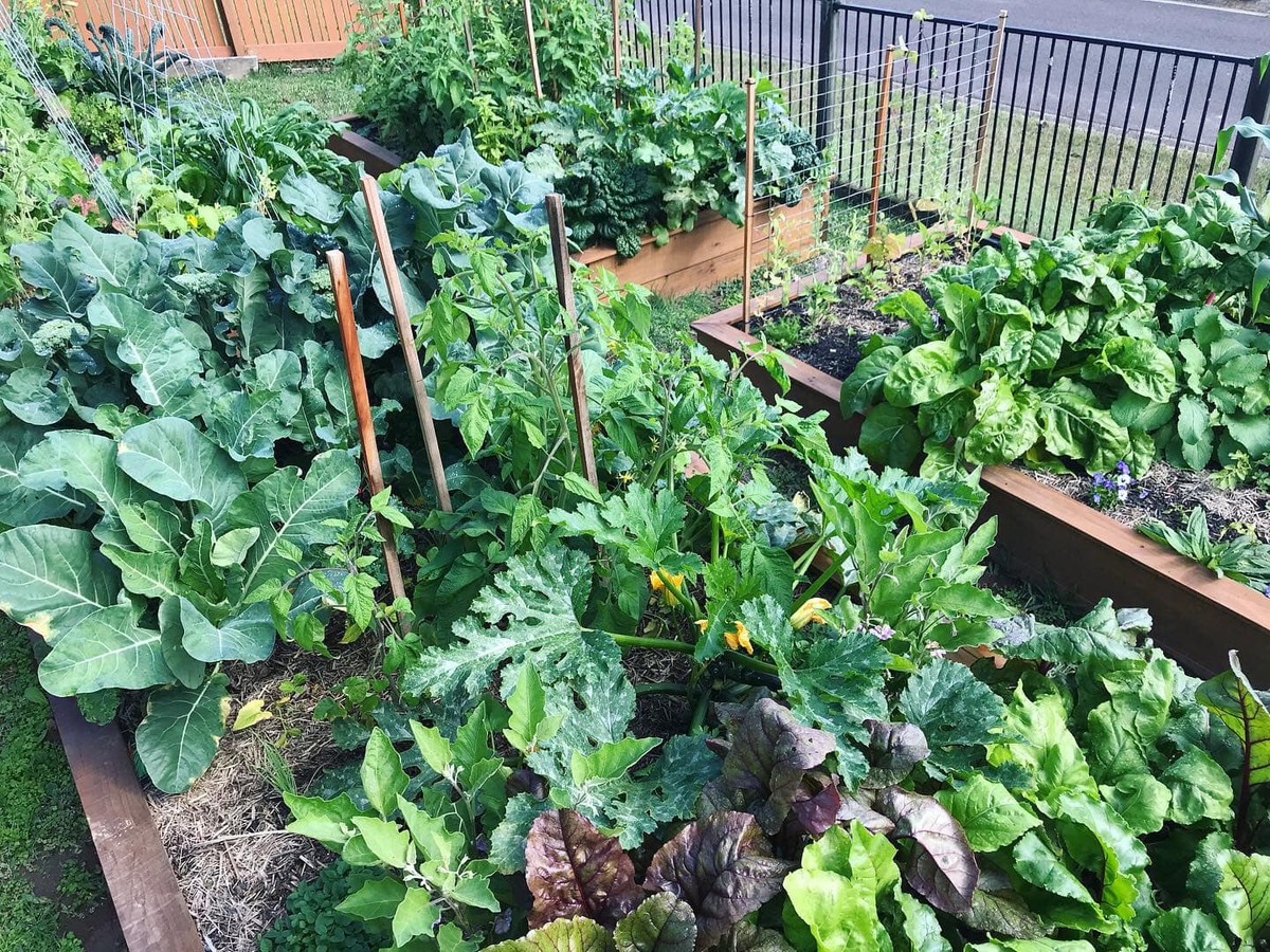 Cuoc song an yen cua gia dinh 6 nguoi ben khu vuon xanh mat-Hinh-4