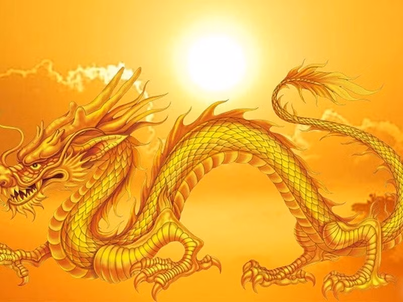 Trong cuộc sống, người tuổi Thìn luôn tâm niệm rằng, mọi thứ đều rất thực tế, có làm thì mới có ăn, bản thân phải cho đi thì mới mong nhận lại.