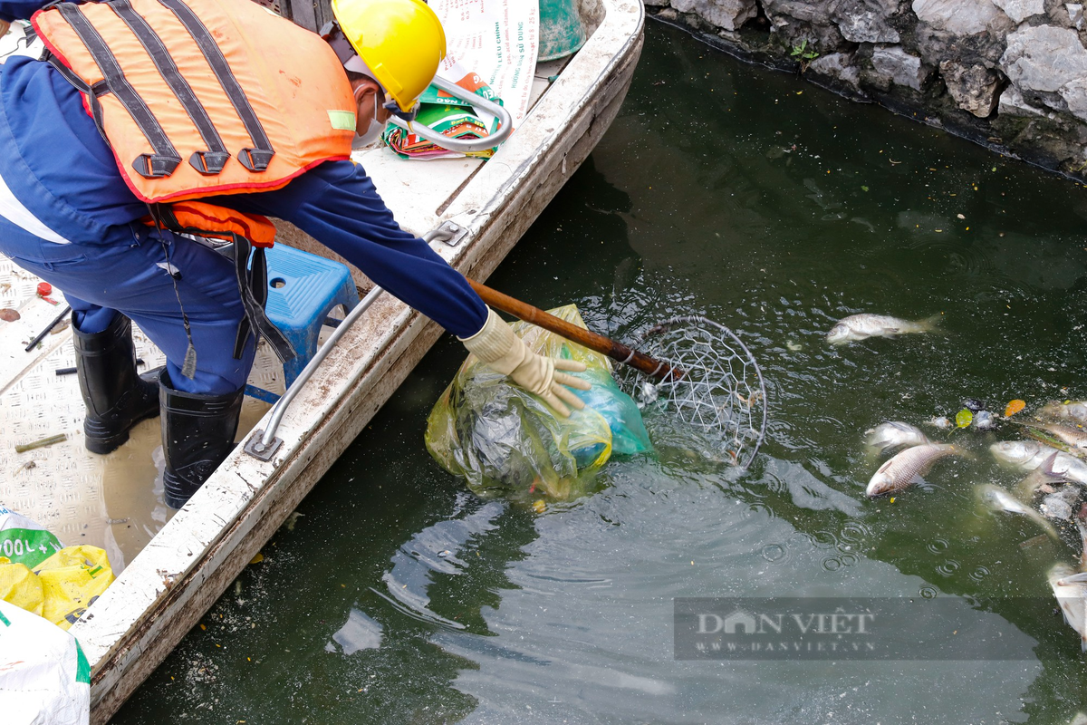 Bên cạnh đó, khu vực hồ Tây cũng xuất hiện rất nhiều rác thải.