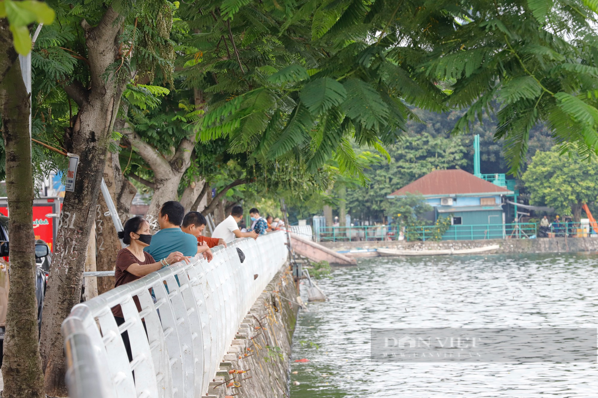 Nhiều người đi tập thể dục tại hồ Tây thường xuyên phải đeo khẩu trang do mùi hôi thối bốc nồng nặc.