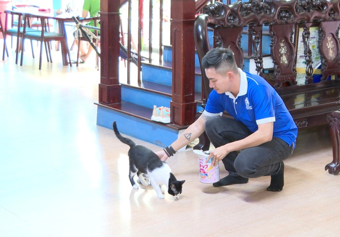 Thu vi voi cach nuoi meo cua nguoi dan dao ngoc Phu Quoc-Hinh-3