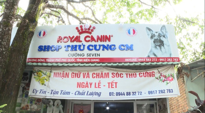 Thu vi voi cach nuoi meo cua nguoi dan dao ngoc Phu Quoc-Hinh-10
