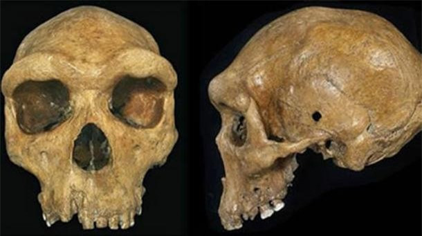 Tại sao lại có lỗ đạn xuất hiện trên các hộp sọ tiền sử? ảnh 2 Tại sao lại có lỗ đạn xuất hiện trên các hộp sọ tiền sử? ảnh 2