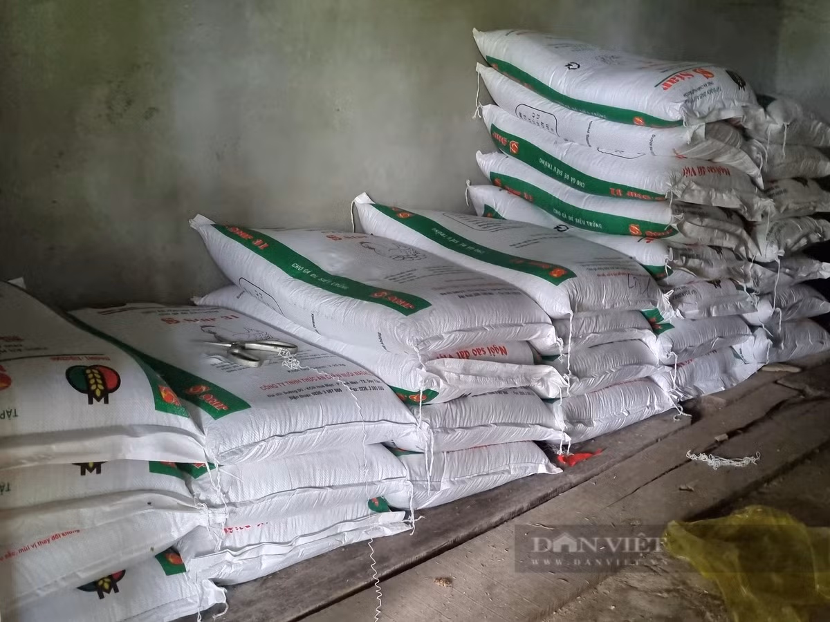 Nuoi loai ga de cha kip can, U50 o Ninh Binh lai gan 300 trieu/nam-Hinh-7