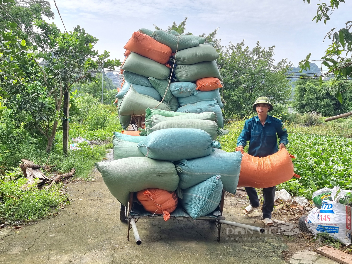 Nuoi loai ga de cha kip can, U50 o Ninh Binh lai gan 300 trieu/nam-Hinh-5