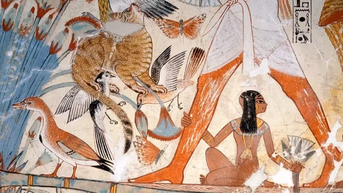 Vo tinh giet meo phai linh an tu hinh-Hinh-2