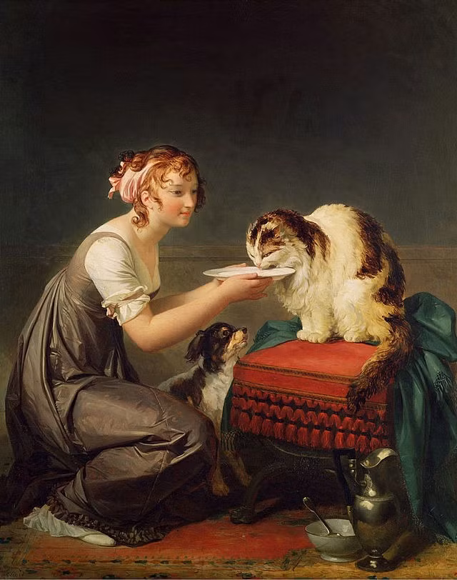 Vo tinh giet meo phai linh an tu hinh