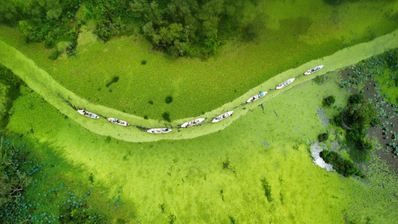 Chiem nguong buc tranh phong canh “cam thach” Tra Su-Hinh-2