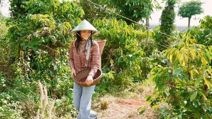 Dan hoa hau Viet tung ban hang online, di lam giup viec