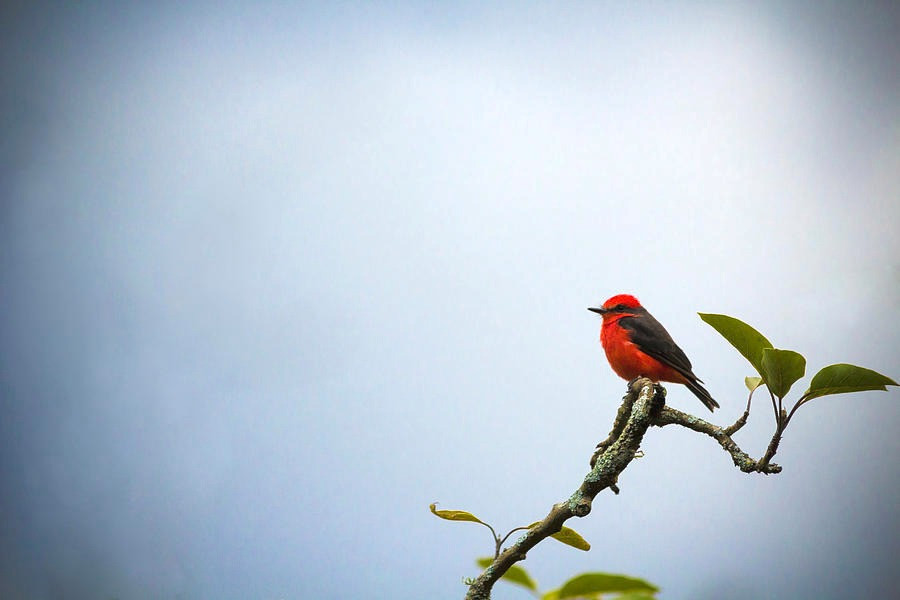 Tu thang 5, 4 con giap co cuoc song du da, sung suong
