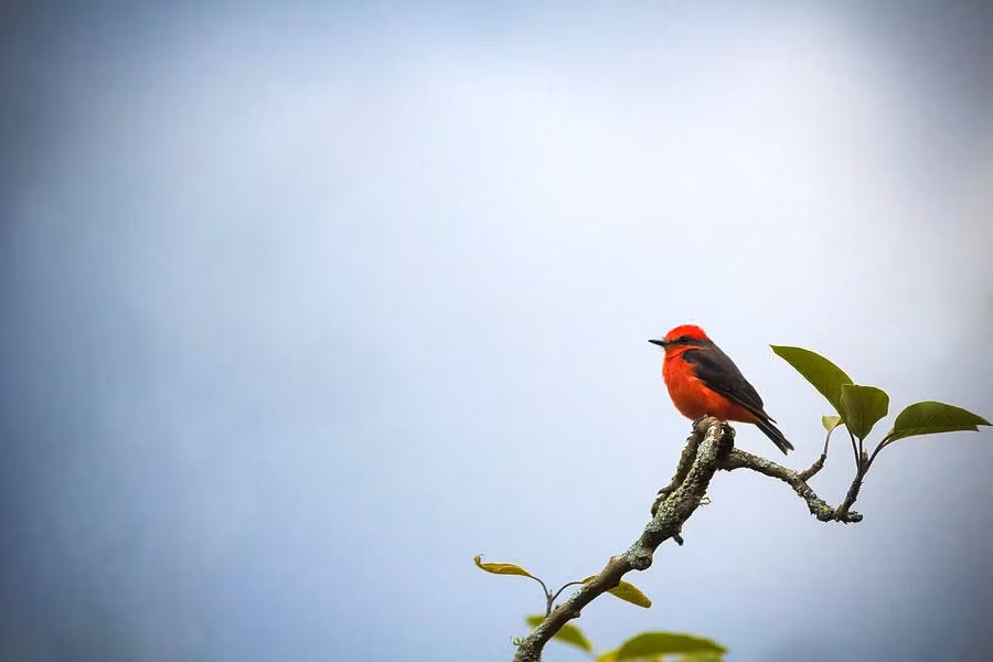 Tu thang 5, 4 con giap co cuoc song du da, sung suong