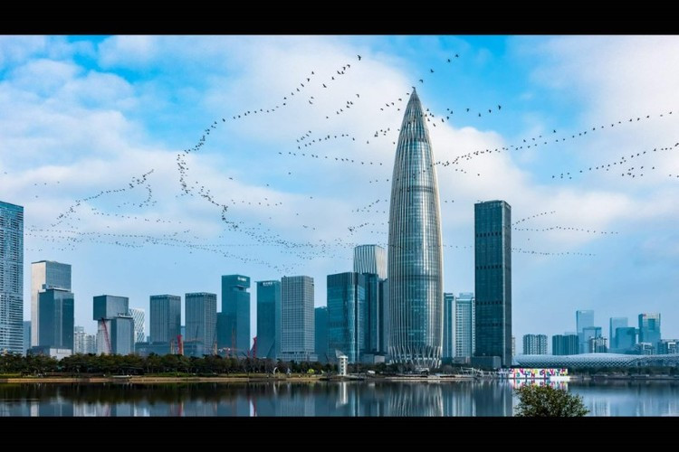 Tác phẩm "Thiên đường thành phố" của Xiaoke Wang.