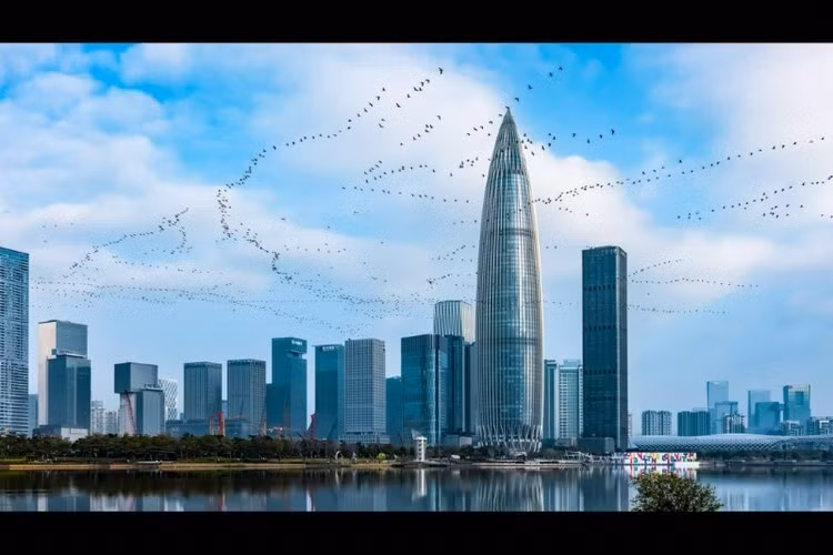 Tác phẩm "Thiên đường thành phố" của Xiaoke Wang.