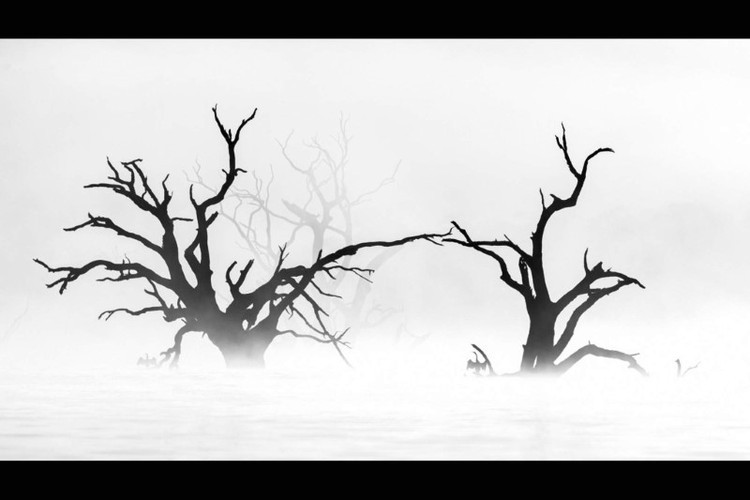 Tác phẩm "Buổi sáng yên bình" của Cheng Kang.