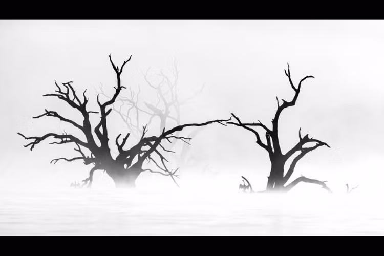 Tác phẩm "Buổi sáng yên bình" của Cheng Kang.