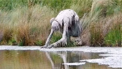 Nguoi phu nu bo chay khi phat hien 