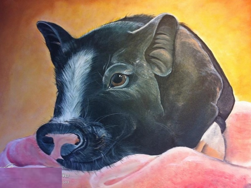 ‏ Tuổi Hợi. Trong 12 con giáp, người tuổi Hợi là một trong những con giáp có vận đào hoa lý tưởng, ai cũng quý mến nhờ sự chăm chỉ, tốt bụng, luôn có quý nhân giúp đỡ. 